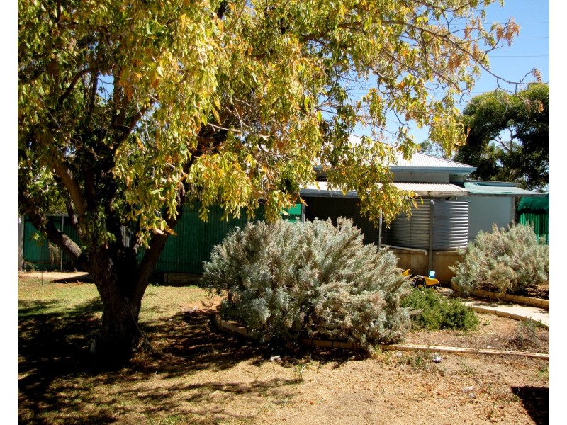 6 Zante Road, Berri SA 5343