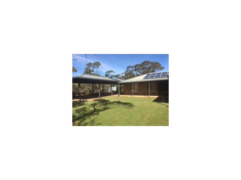 47 Kreusler Road, Waikerie SA 5330