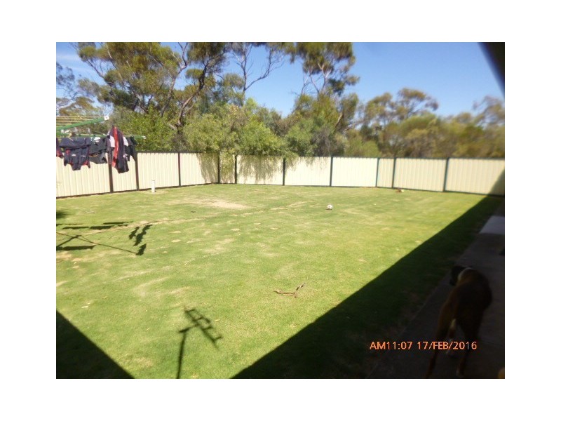 47 Kreusler Road, Waikerie SA 5330
