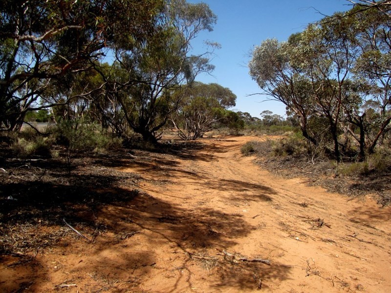 Section 559 Sturt Highway, Monash SA 5342