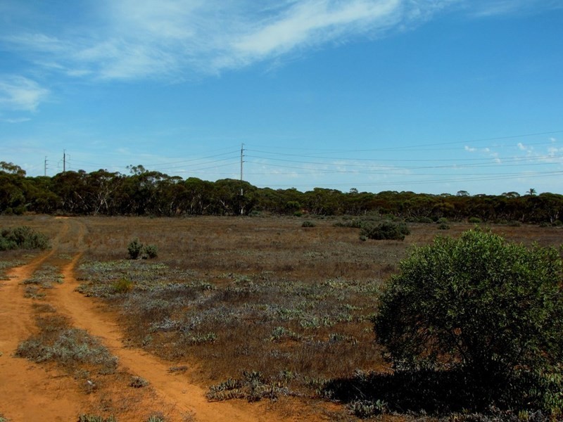 Section 559 Sturt Highway, Monash SA 5342