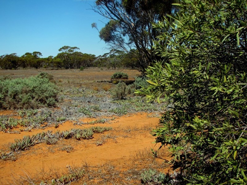 Section 559 Sturt Highway, Monash SA 5342