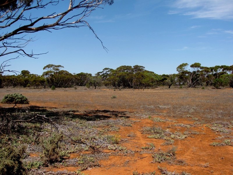 Section 559 Sturt Highway, Monash SA 5342