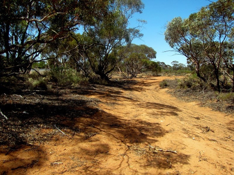 Section 559 Sturt Highway, Monash SA 5342