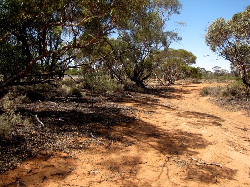 Section 559 Sturt Highway, Monash SA 5342