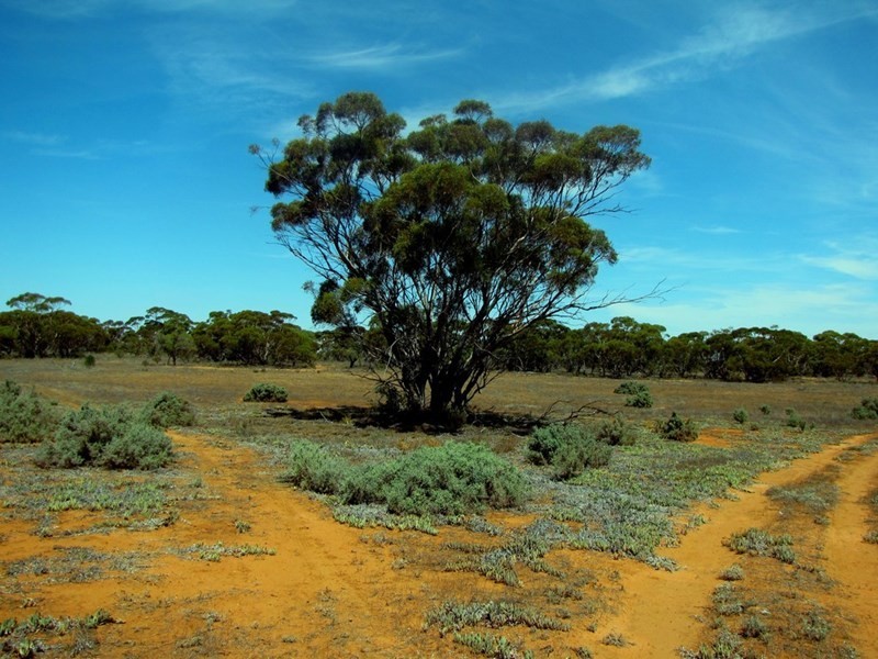 Section 559 Sturt Highway, Monash SA 5342