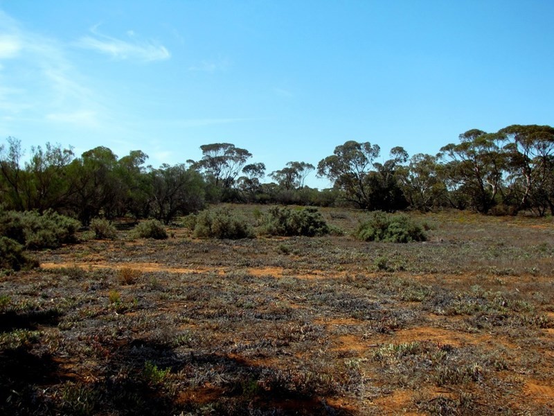Section 559 Sturt Highway, Monash SA 5342