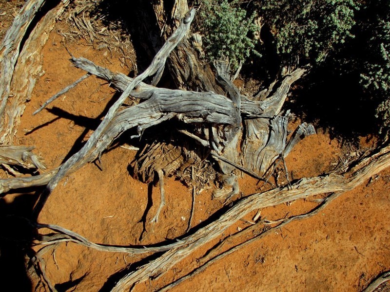 Section 559 Sturt Highway, Monash SA 5342