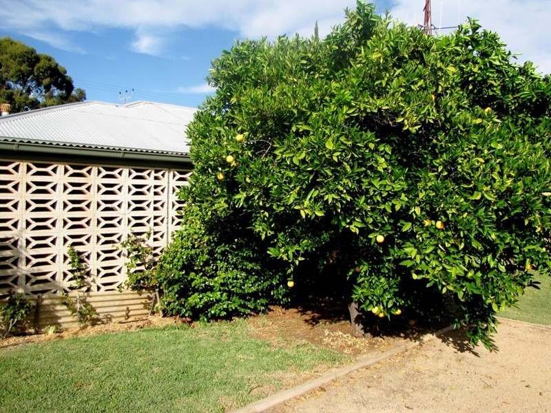 6 Wilkinson Street, Berri SA 5343