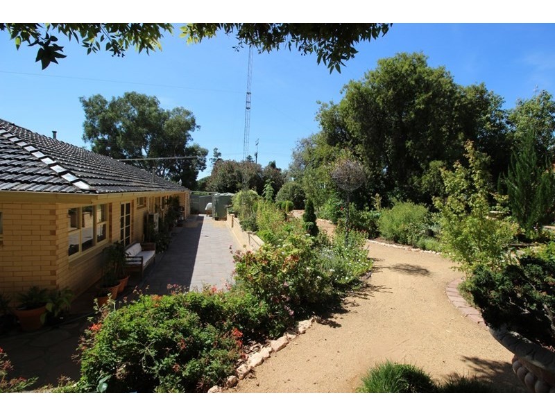 80 Virgo Road, Waikerie SA 5330