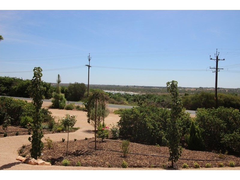 80 Virgo Road, Waikerie SA 5330