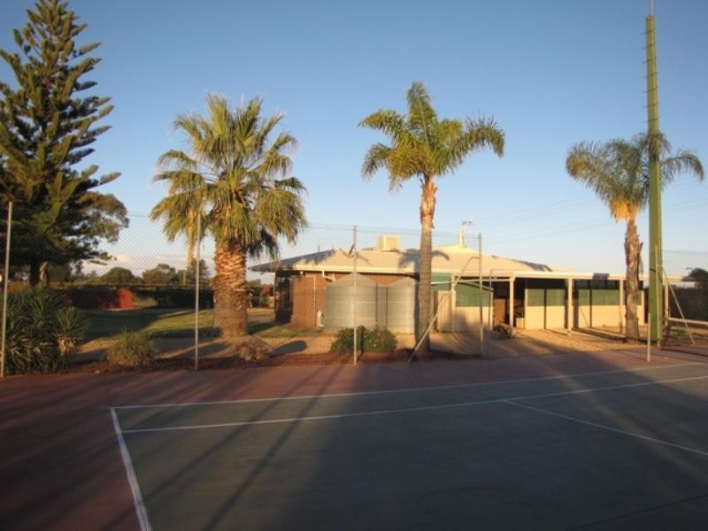 728 Pommy Avenue, Loveday SA 5345