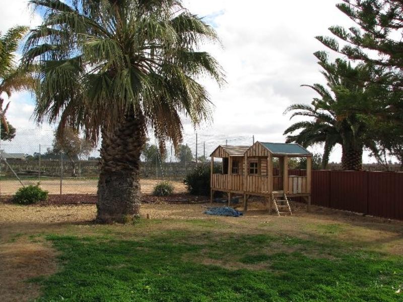 728 Pommy Avenue, Loveday SA 5345