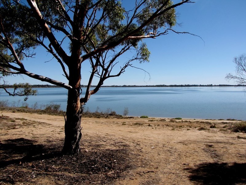 22 Queen Elizabeth Drive, Barmera SA 5345