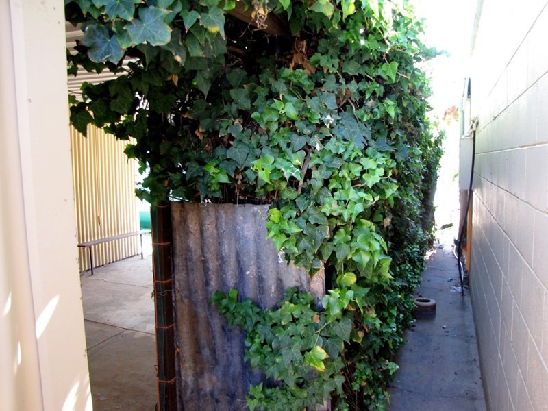 22 Queen Elizabeth Drive, Barmera SA 5345