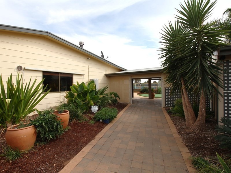 114 Pommy Avenue, Barmera SA 5345