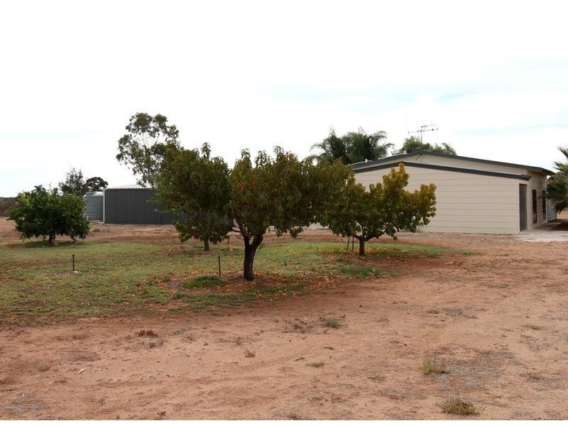 114 Pommy Avenue, Barmera SA 5345