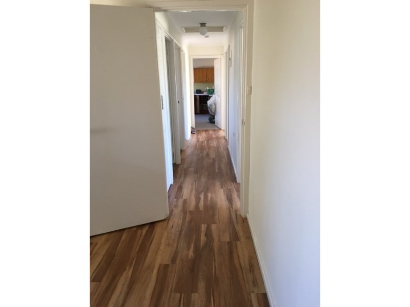 5 Edwards Avenue, Pinnaroo SA 5304