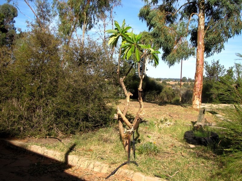 33 Bray Road, Glossop SA 5344