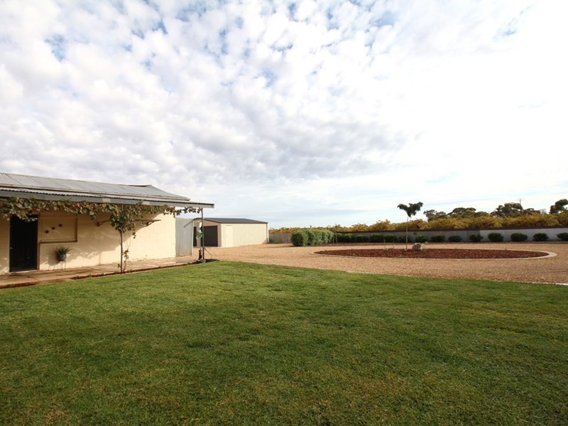 49 Luther Road, Loxton SA 5333