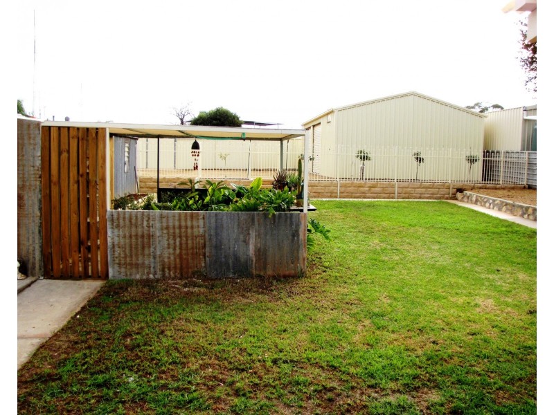 23 Tonkin Avenue, Barmera SA 5345
