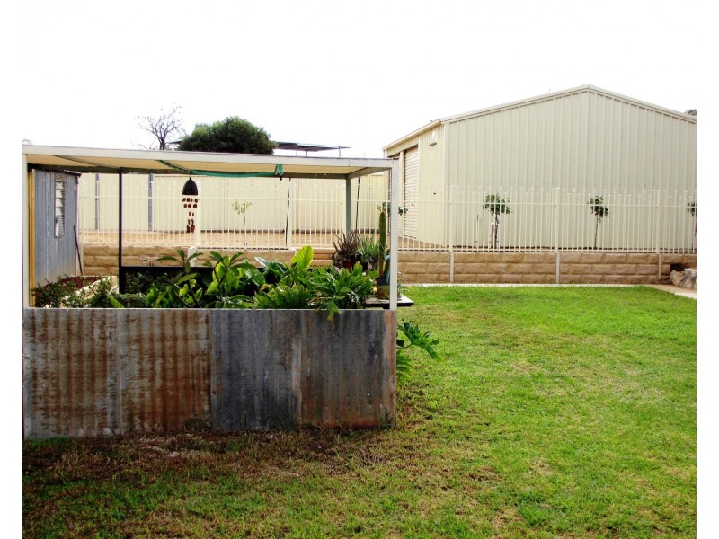 23 Tonkin Avenue, Barmera SA 5345
