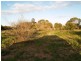 Lot 43 Playford Road, Waikerie SA 5330