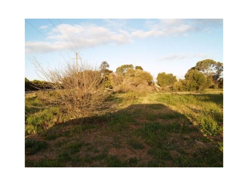 Lot 43 Playford Road, Waikerie SA 5330