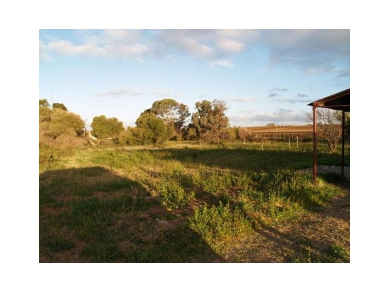 Lot 43 Playford Road, Waikerie SA 5330