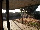 24 Riverview Terrace, Morgan SA 5320