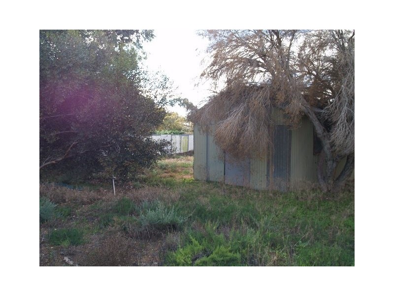 24 Riverview Terrace, Morgan SA 5320