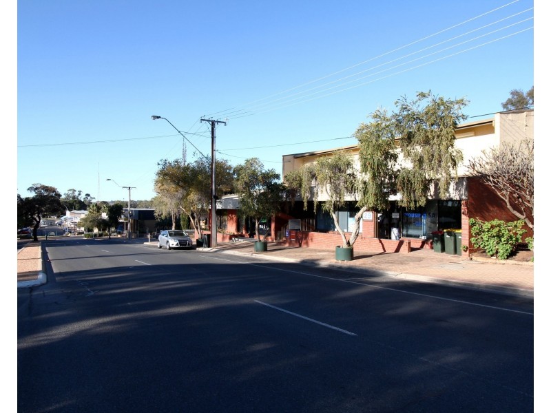 Unit 1 and 3, 29 Vaughan Terrace, Berri SA 5343