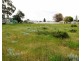 17 Muscat Avenue, Berri SA 5343