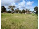 17 Muscat Avenue, Berri SA 5343