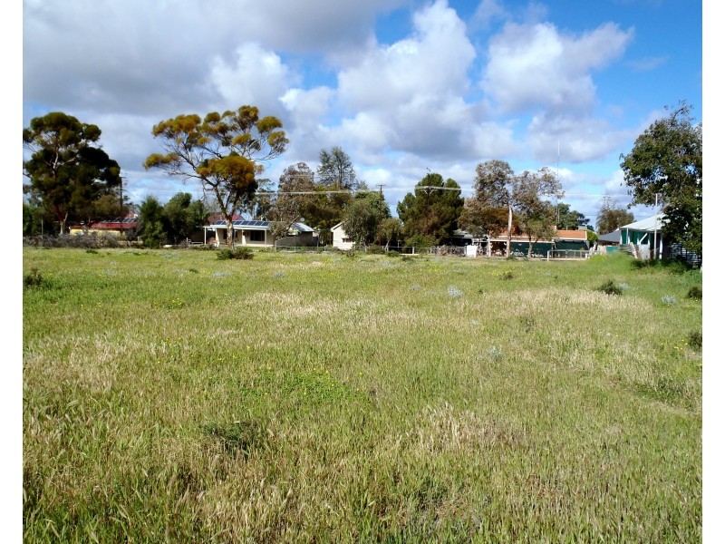 17 Muscat Avenue, Berri SA 5343