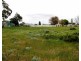 17 Muscat Avenue, Berri SA 5343
