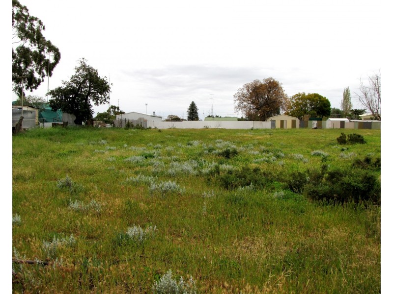 17 Muscat Avenue, Berri SA 5343