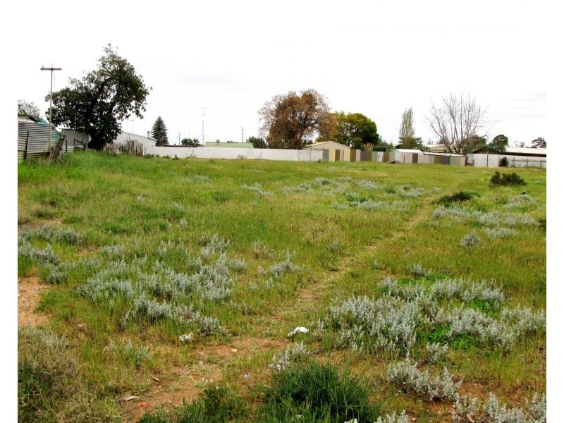 17 Muscat Avenue, Berri SA 5343