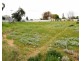 17 Muscat Avenue, Berri SA 5343