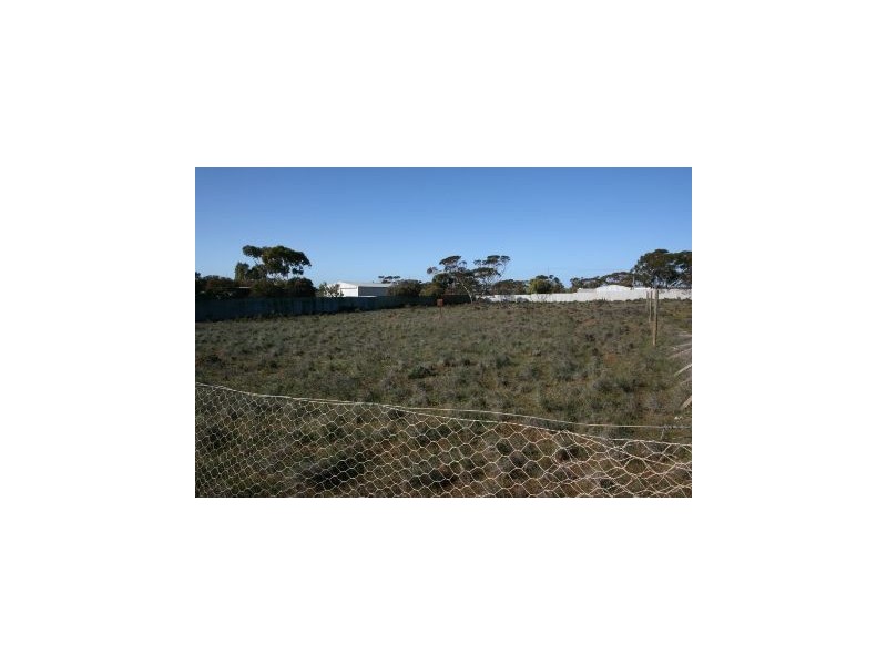 12 Olive Street, Pata SA 5333