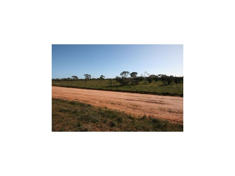 12 Olive Street, Pata SA 5333