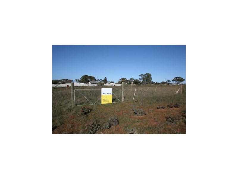 12 Olive Street, Pata SA 5333