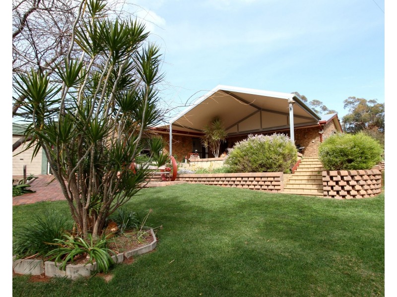 446 Riverview Drive, Berri SA 5343