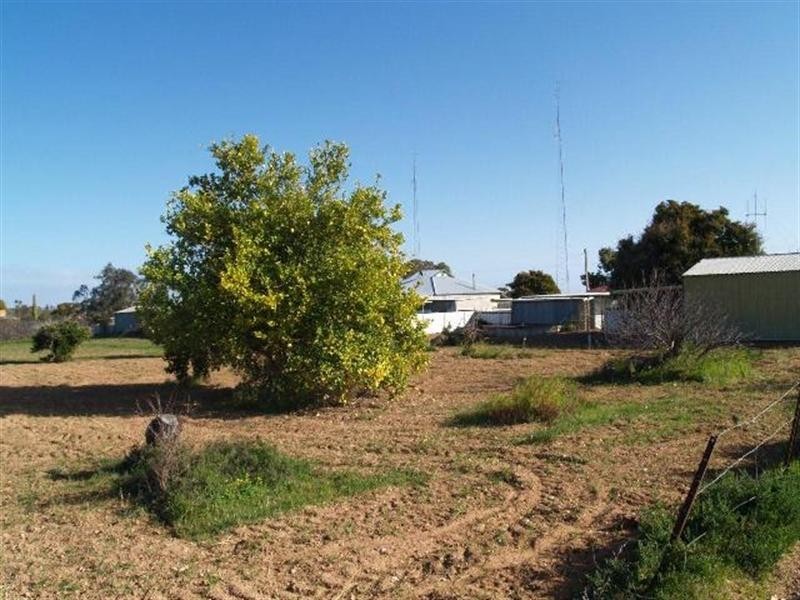 12990 Sturt Highway, Waikerie SA 5330