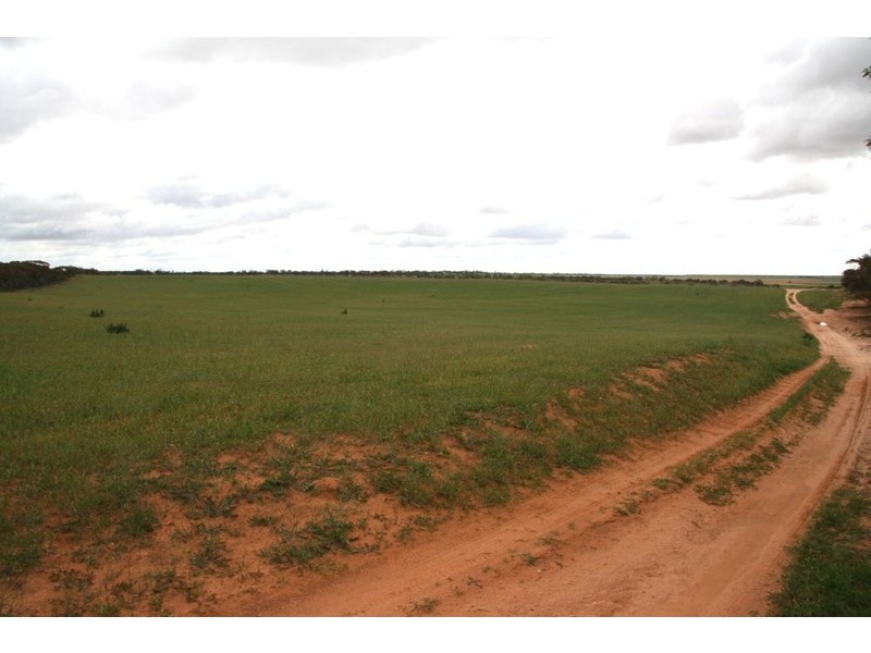 Section 8 Hundred of McGorrery, Loxton SA 5333