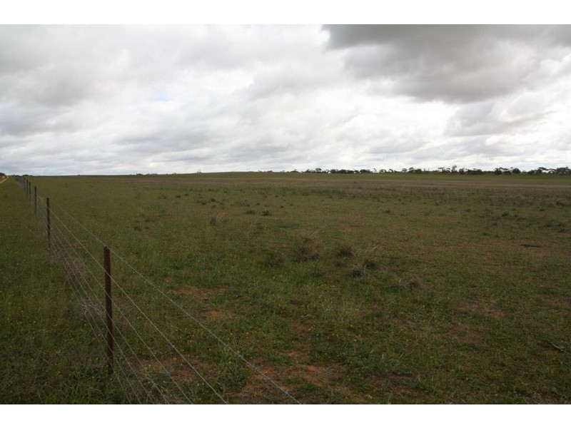 Section 8 Hundred of McGorrery, Loxton SA 5333