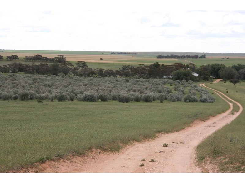 Section 8 Hundred of McGorrery, Loxton SA 5333