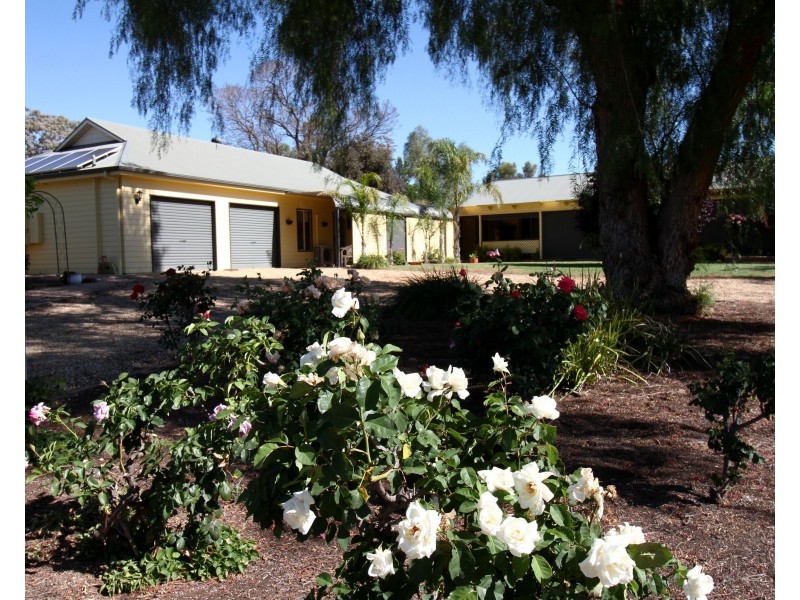 29 Fuller Road, Berri SA 5343