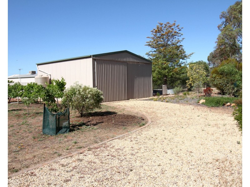 29 Fuller Road, Berri SA 5343