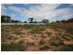 18(Lt 205) Edwards Crescent, Waikerie SA 5330